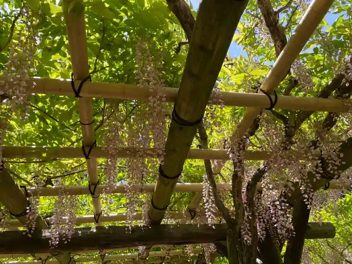 春日大社(奈良県)