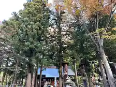 山家神社の自然