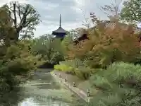 東寺(教王護国寺)(京都府)