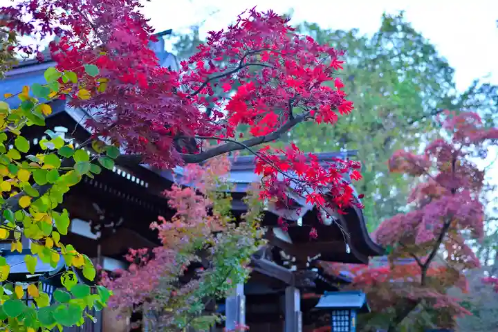高幡不動尊 金剛寺(東京都)