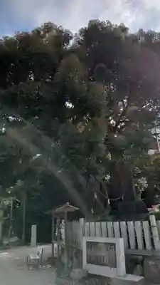 志氐神社(三重県)