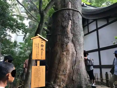 川越氷川神社の自然