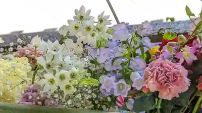 勝林寺(京都府)