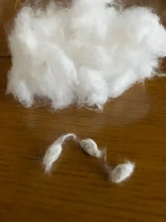 總社 和田八幡宮(福井県)