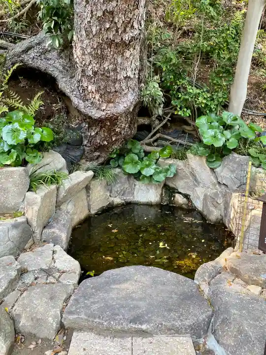 師岡熊野神社(神奈川県)