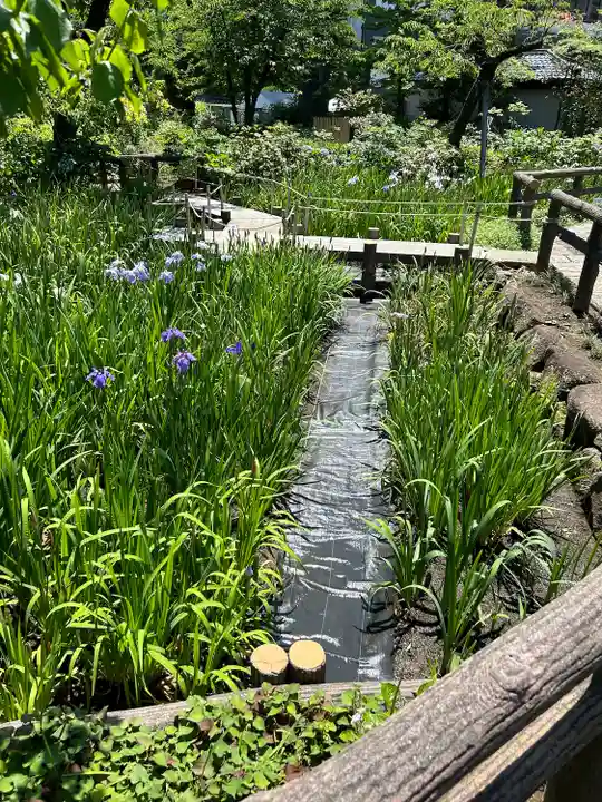 西新井大師総持寺(東京都)