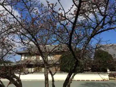 鎮國寺(福岡県)