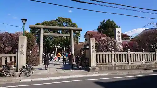 小村井 香取神社の鳥居