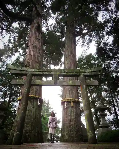 八幡朝見神社の鳥居