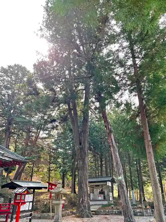 一宮浅間神社の自然