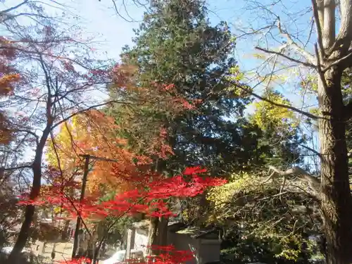 新倉富士浅間神社(山梨県)