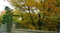 眞田神社の周辺