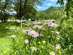 子檀嶺神社(長野県)