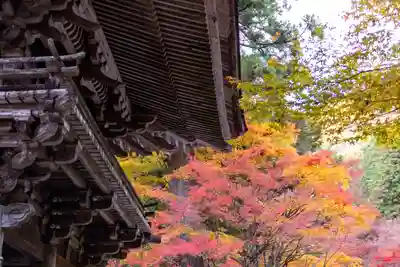 大矢田神社(岐阜県)
