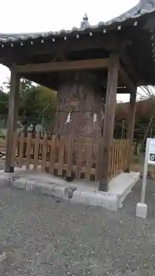 高木神社の自然