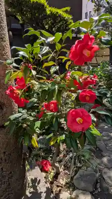 妙壽禅寺(妙寿寺)(大阪府)