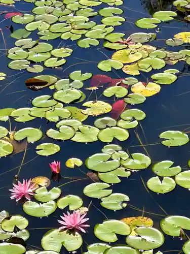 法華寺(岐阜県)