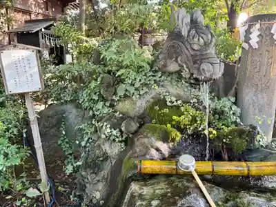 金ヶ作熊野神社(千葉県)