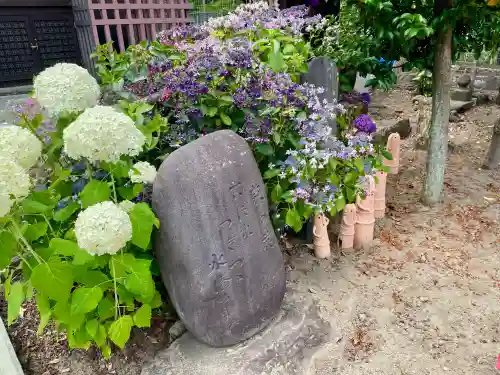 櫻岡大神宮の庭園