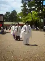 住吉大社のお祭り