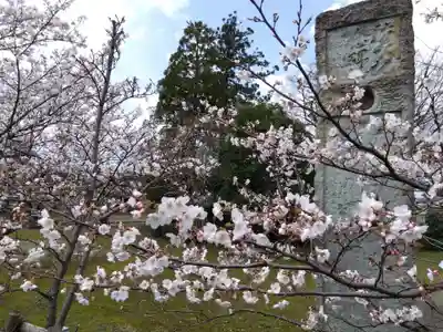 日吉神社(福井県)