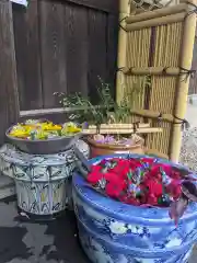 多賀神社の手水