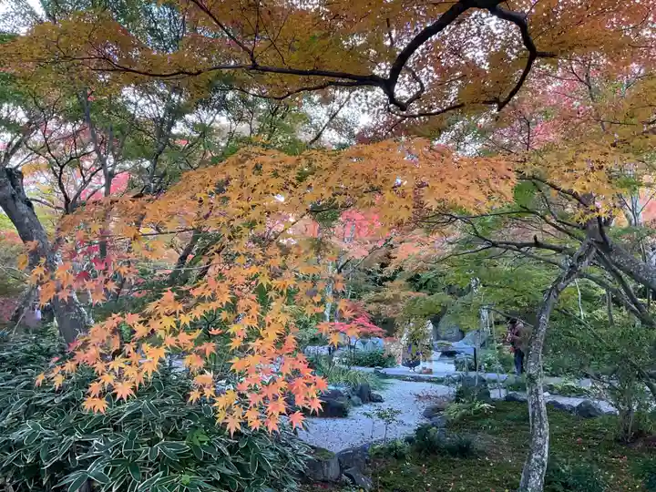 宝筐院(京都府)