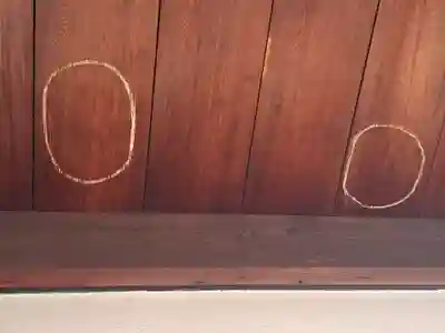 興聖寺(興聖寶林禅寺)(京都府)