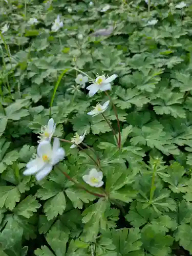 松井孫右衛門社(三重県)