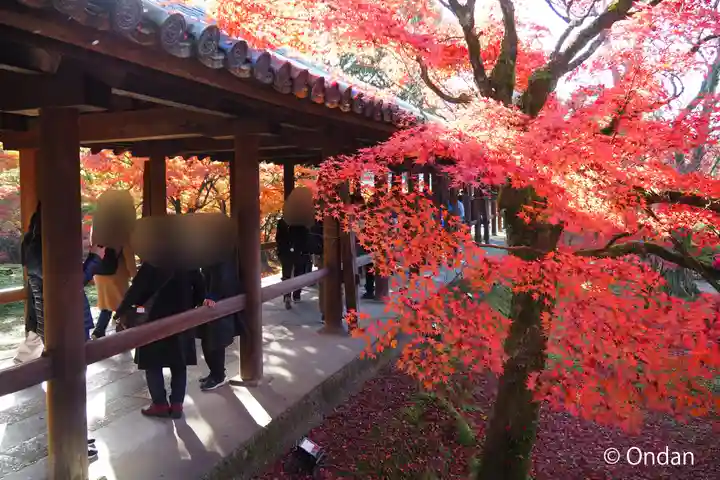 東福禅寺(東福寺)のその他建物