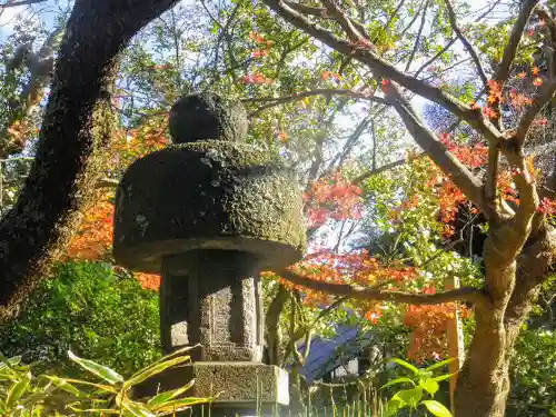 安國論寺（安国論寺）の塔