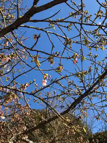 菅原神社(鹿児島県)