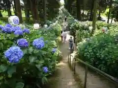 磯山神社の自然