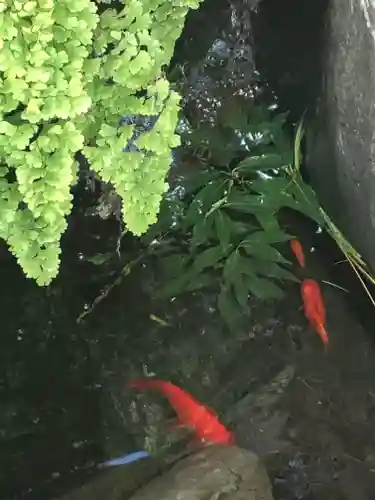 馬橋稲荷神社の庭園