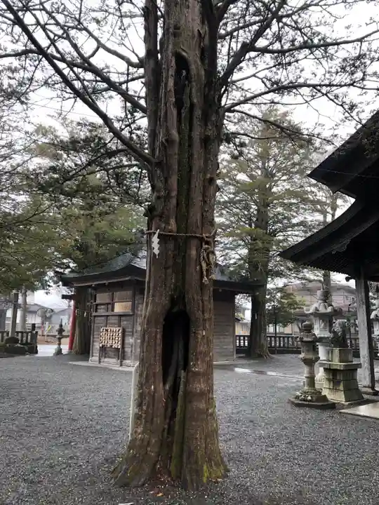 淺間神社(忍野八海)の自然