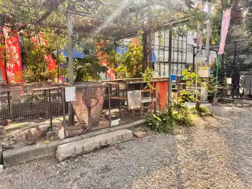 高知大神宮の{uncategorized: "未分類", other: "その他", undefined: "問題あり", building: "その他建物", grave: "お墓", sacred_gate: "鳥居", guardian: "狛犬", statue: "像", buddha: "仏像", history: "歴史", nature: "自然", garden: "庭園", animal: "動物", pagoda: "塔", temizu: "手水舎", mountain_gate: "山門・神門", sanctuary: "本殿・本堂", subordinate: "末社・摂社", art: "芸術", scenery: "景色", jizo: "地蔵", ema: "絵馬", goshuin: "御朱印", omikuji: "おみくじ", items: "授与品その他", amulet: "お守り", goshuincho: "御朱印帳", eats: "食事", festival: "お祭り", votive_dance: "神楽", shichigosan: "七五三参", wedding: "結婚式", experience: "体験その他", initially: "初詣", around: "周辺", anti_infection: "感染症対策"}