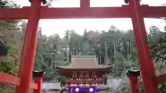 丹生都比売神社の鳥居