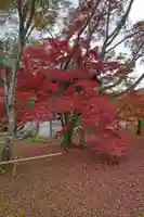 鹿苑寺(金閣寺)の自然