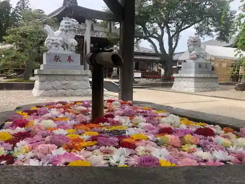 荘内神社の手水舎