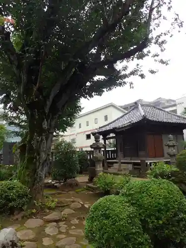 荘厳寺の本殿・本堂