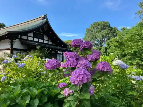 本土寺(千葉県)