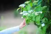 浄土寺(兵庫県)