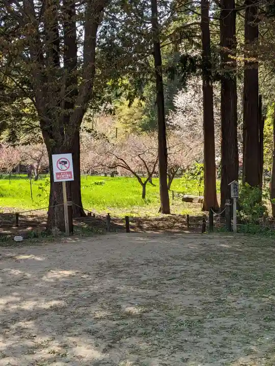 北海道神宮の庭園