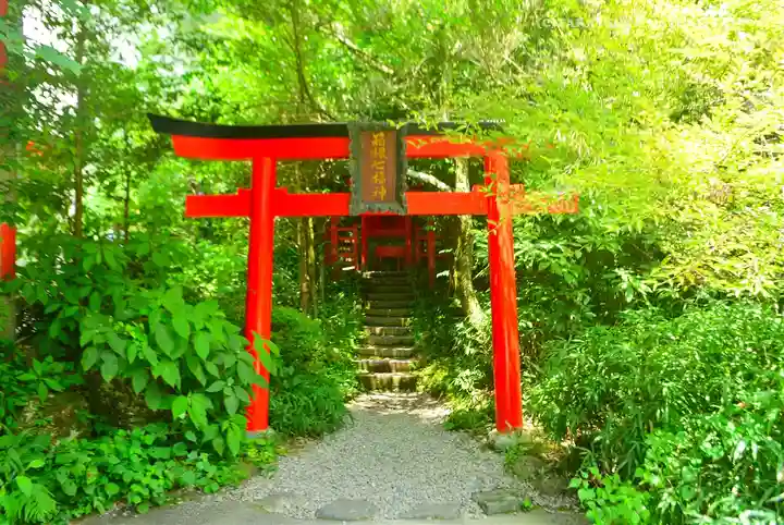 箱根神社(神奈川県)
