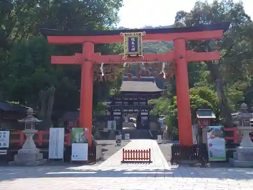 松尾大社の鳥居