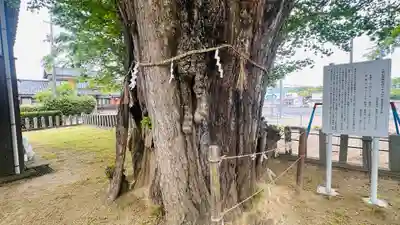 金山彦神社(福井県)