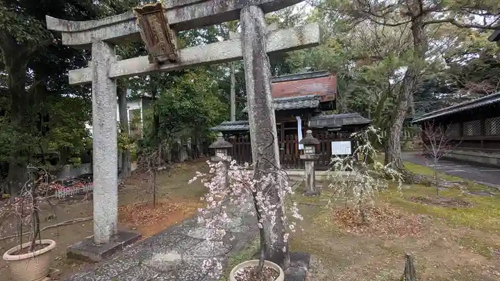 飛梅天満宮(新日吉神宮境内社)(京都府)