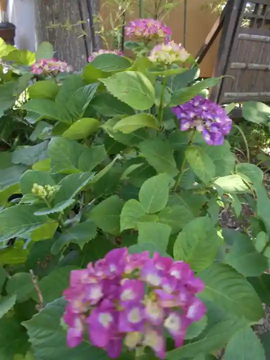 三島八幡神社(福島県)