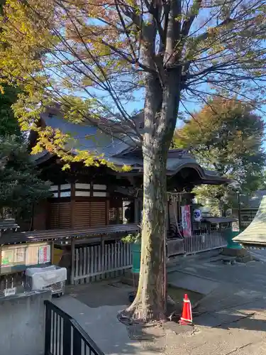 滝野川八幡神社(東京都)