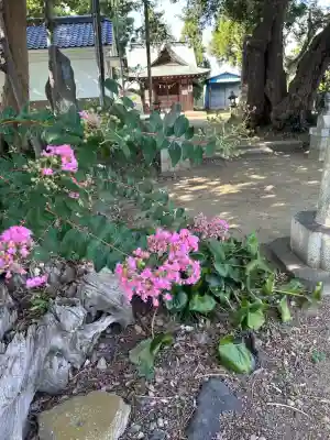 別府社(東京都)